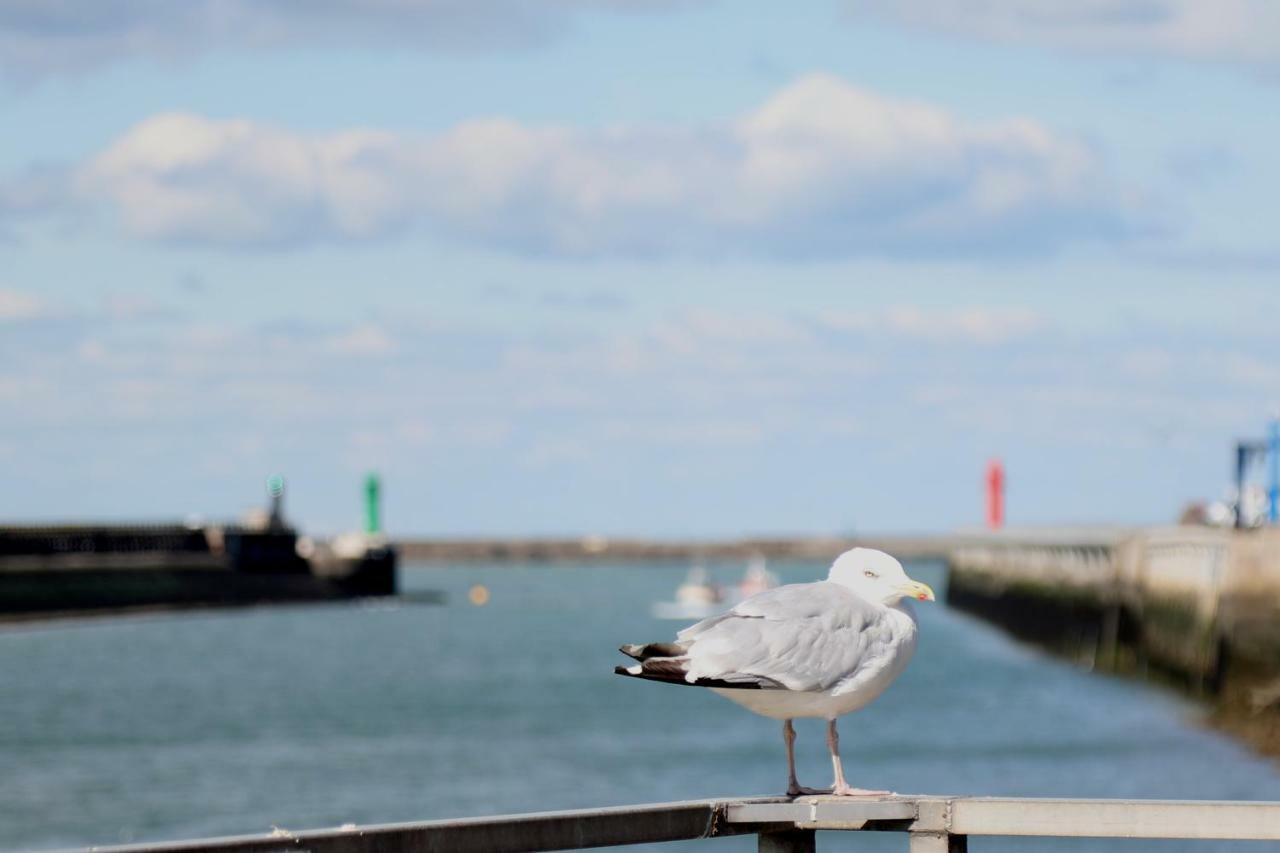 Appartamento Studio 1 cosy vue port à deux pas de Nausicaa Boulogne-sur-Mer Esterno foto
